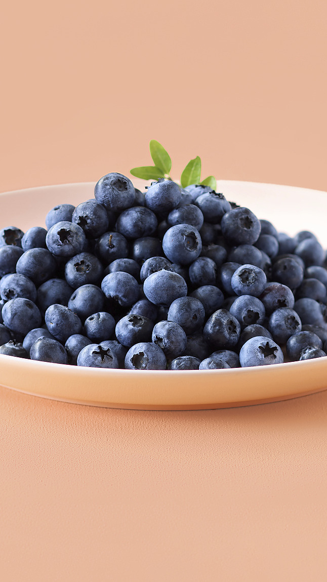 Bosbessen_detail_45111 Bosbessen_detail_45111