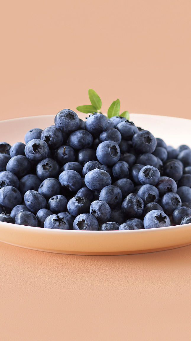 Wilde_bosbessen_detail_45090 Wilde_bosbessen_detail_45090