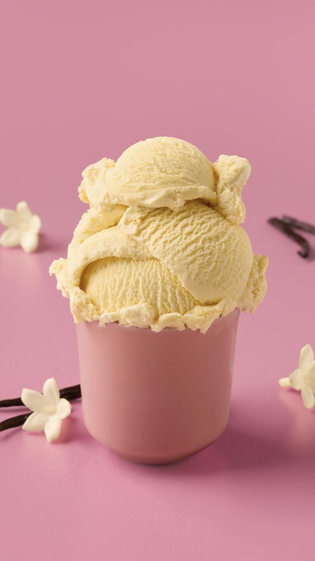 Vanille-bourbon_web_40025 Vanille-bourbon_web_40025