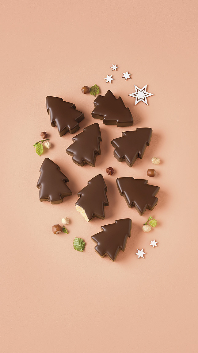 Dennenboompje_web_40095