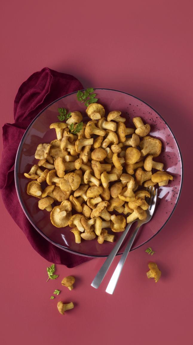 Cantharellen_web_5329