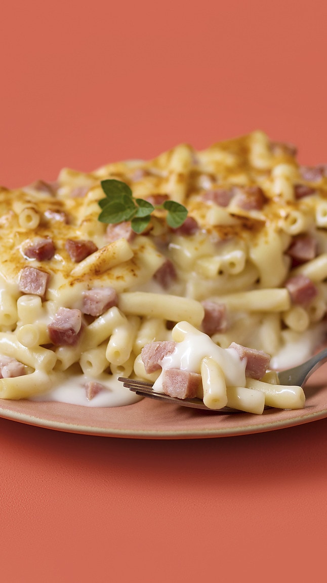 Macaronigratin_detail_2443 Macaronigratin_detail_2443