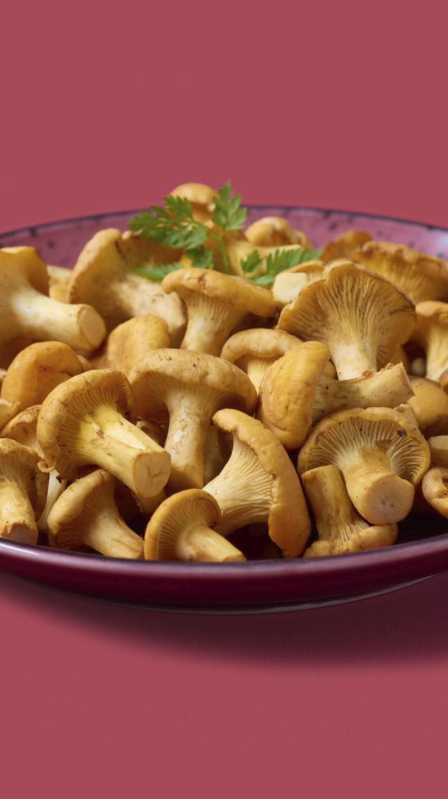 Cantharellen_detail_5329