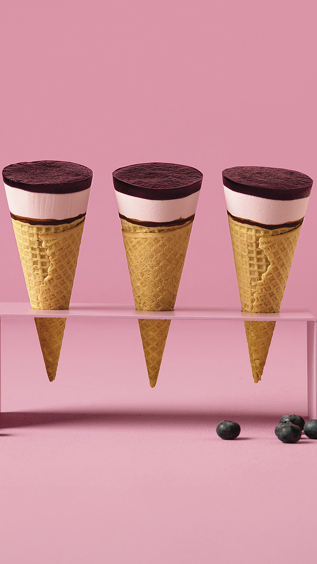 Hoorntje_bosbessen_web_2831 Hoorntje_bosbessen_web_2831