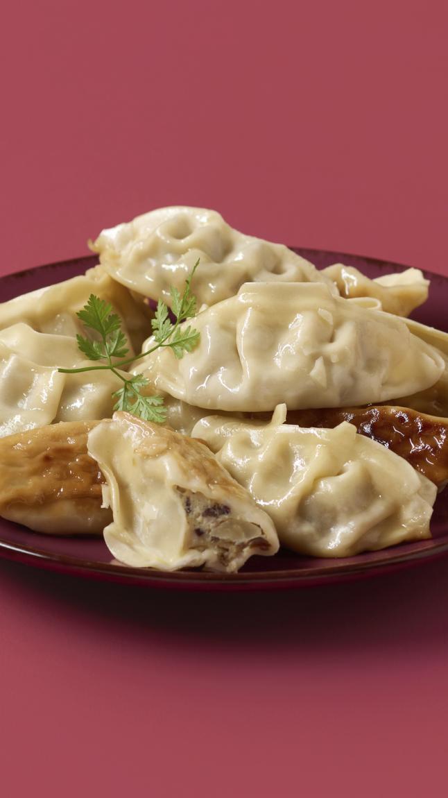 Gyoza_met_kip_detail_35008