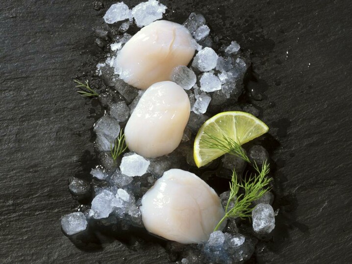 Coquilles